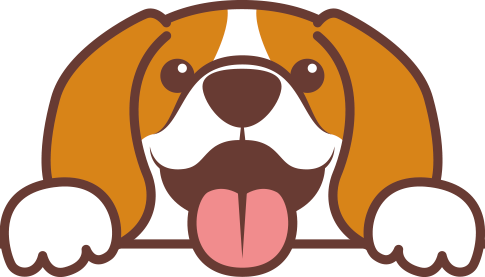 Perro asoma